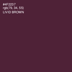#4F2237 - Livid Brown Color Image